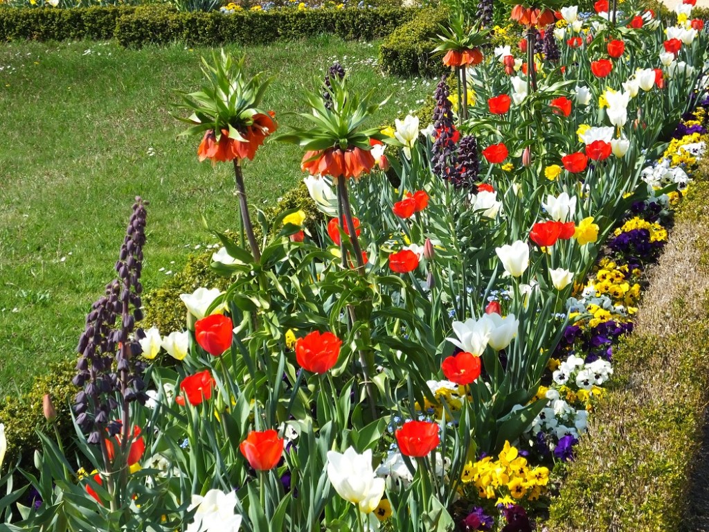 Цветы для Галатеи. Барочный сад Гросс-Седлитц.