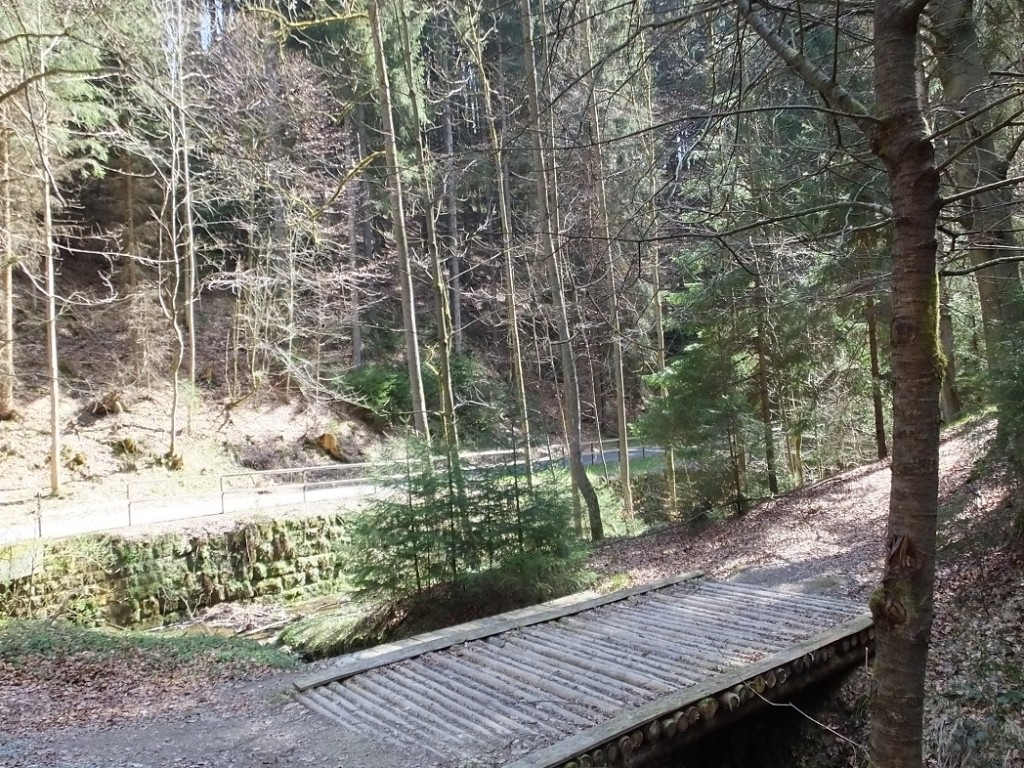 Деревянный мостик через горную речку. Саксонская Швейцария.