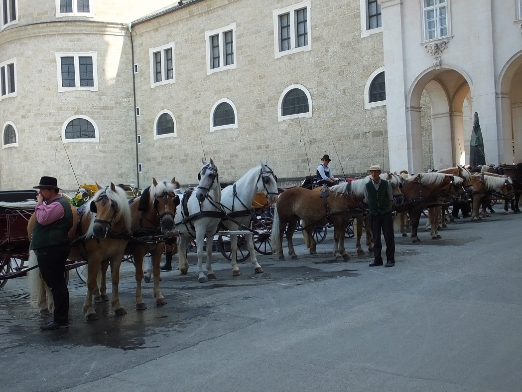 Лошади и люди. Зальцбург. Организованный тур в Баварию и Верхнюю Австрию.