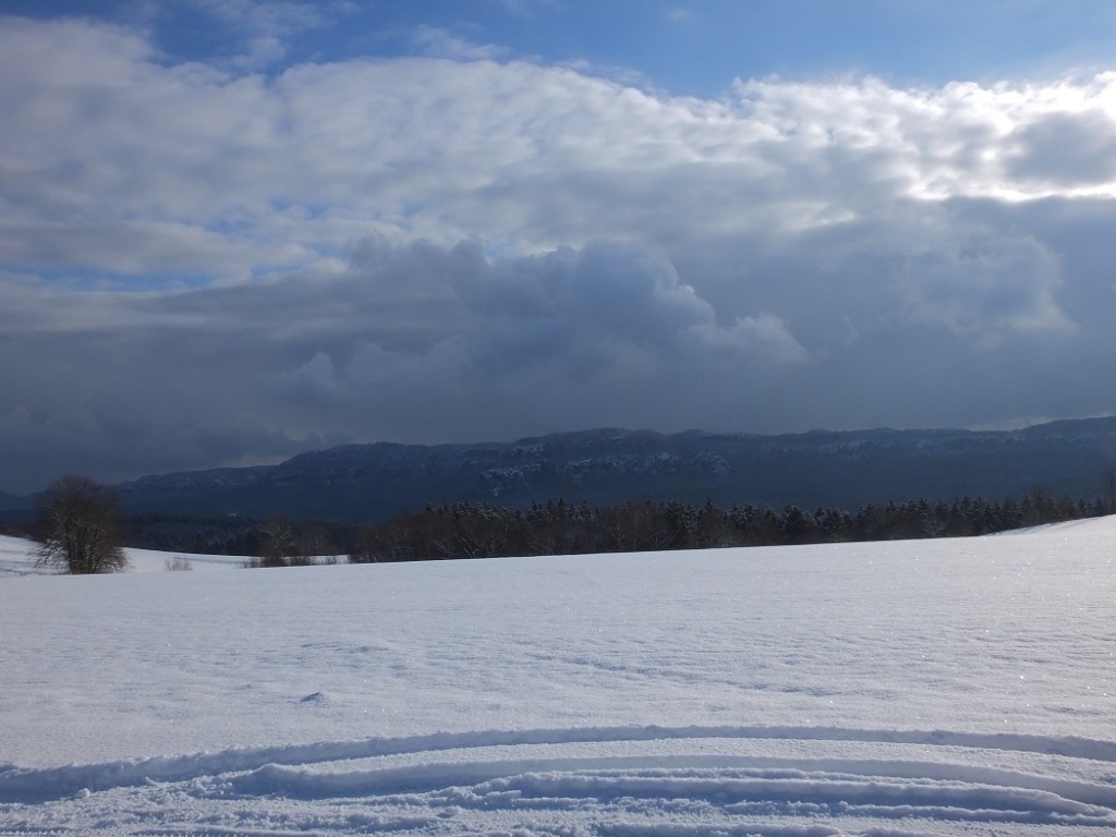 Январь. Зима. Саксонская Швейцария.