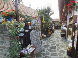 Разноцветье. Тур в Венгрию.