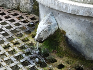 Один из 18 источников. Озеро Малом. Тапольца.