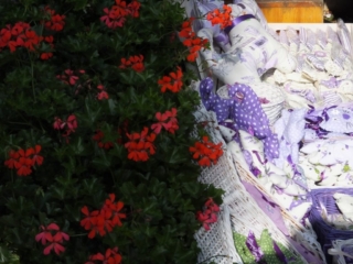 Сиреневое и красное. Тихань. Венгрия.