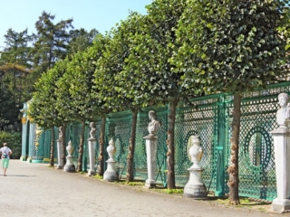 Ажурная зеленая ограда. Дворцово-парковый комплекс Сан-Суси (Schloss Sanssouci). Потсдам, Германия.