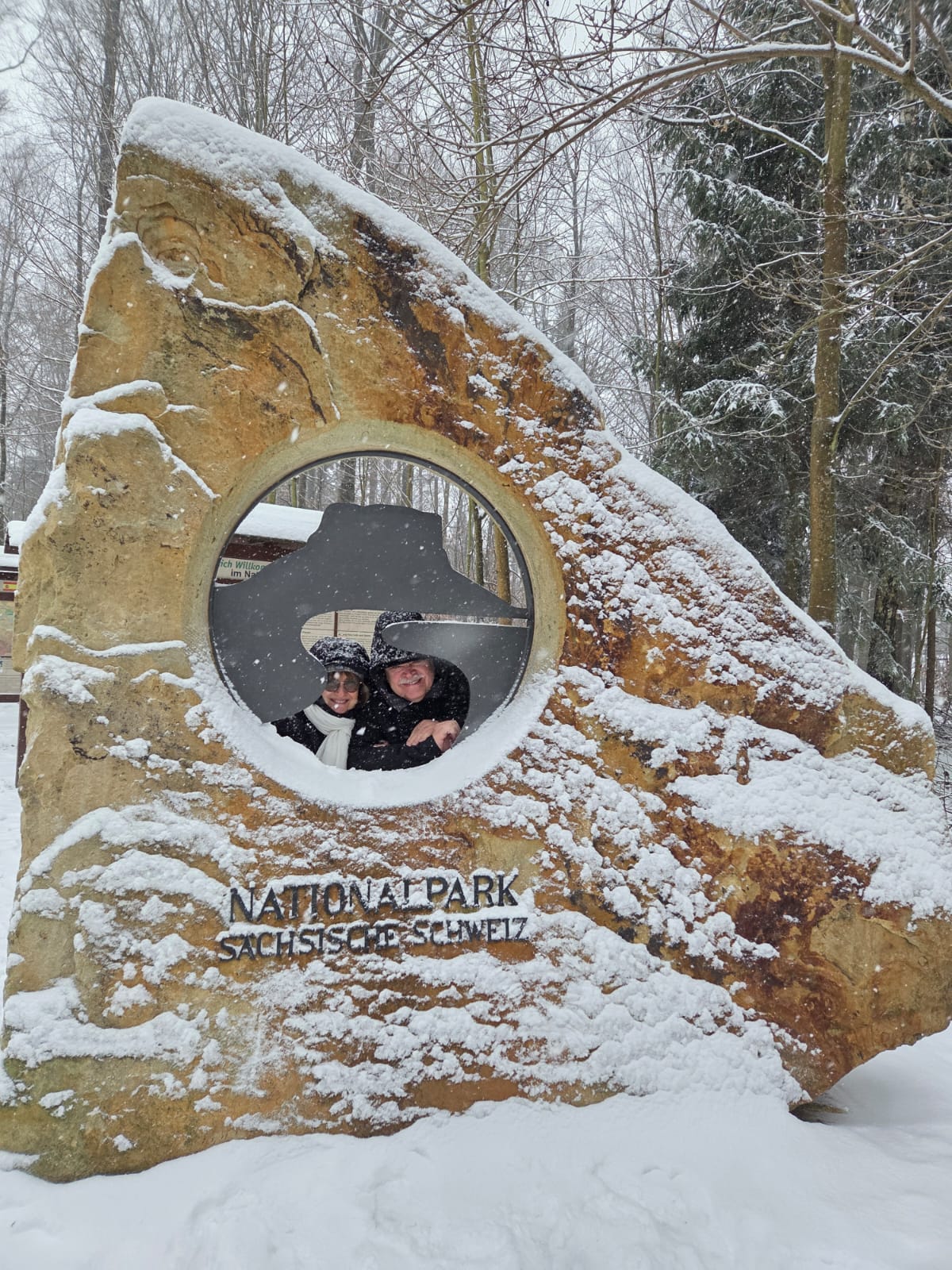 Волшебное зимнее путешествие